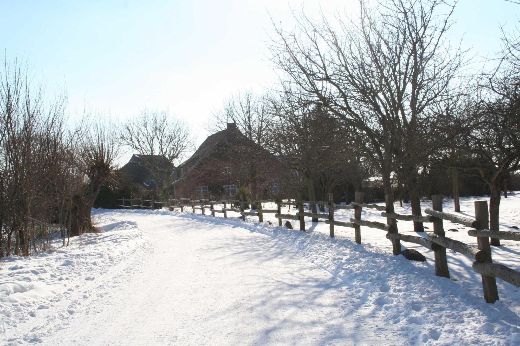 Boddenblick Fw Marlen Villa Barnstorf Exteriör bild